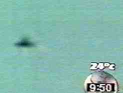 최근에 전세계에서 출현한 유명한 UFO 사건 모음