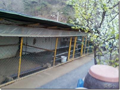 서울 근교에서 느껴보는 허브 향기 ~ 숲속에 허브농장