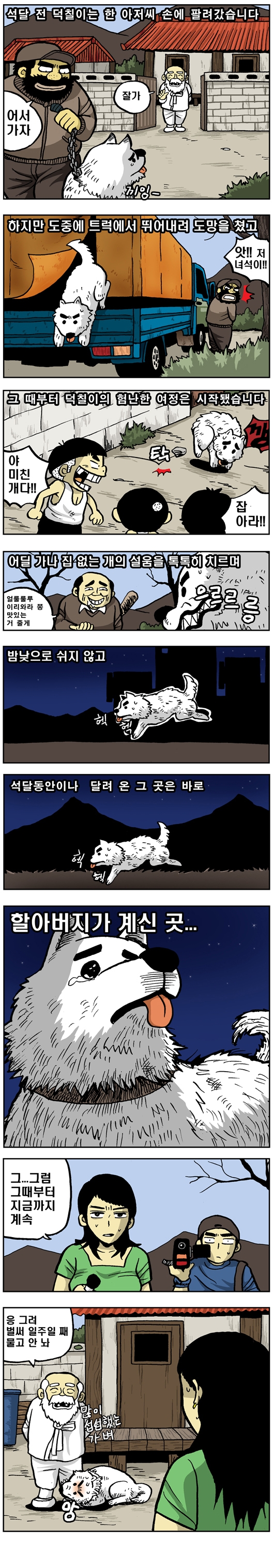 한국의 명견 진돗개