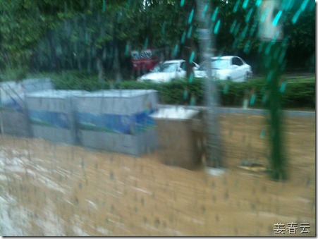 폭우로 인한 양재동 꽃시장 물바다 현장 - 2011년 7월 27일 생생한 현장 사진으로 남겨봅니다
