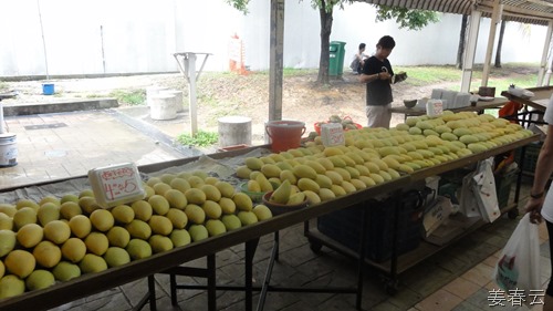 길거리에 널리고 널린 망고 - 싱가폴 외곽 지역일수록 과일 가격은 저렴해 집니다 - 열대 과일의 제왕인 두리안은 남자들에게 좋아
