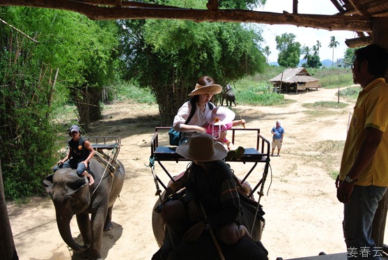 태국 여행의 백미 - 코끼리 타고 탐험하기
