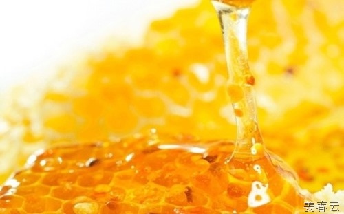 꿀벌 분비물 로얄젤리 &ndash; 비타민, 미네랄, 아미노산 등의 영양소 풍부한 건강 식품