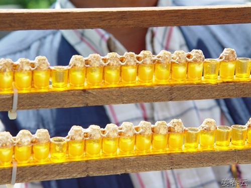 꿀벌 분비물 로얄젤리 - 비타민, 미네랄, 아미노산 등의 영양소 풍부한 건강 식품