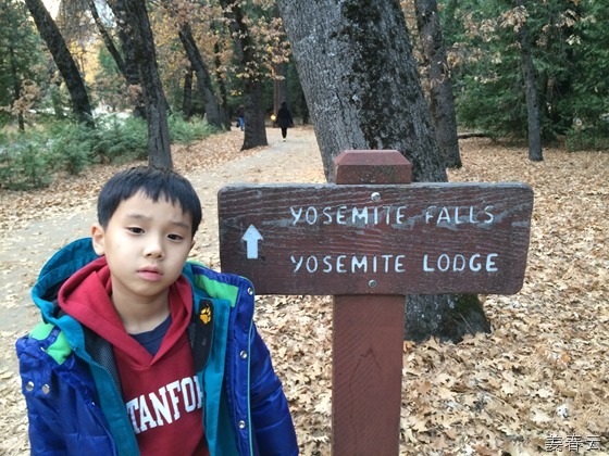 요세미티 노스 사이드 드라이브(Yosemite&rsquo;s North Side Drive) 방향으로 걸으며 만끽한 삼림욕 - 빌리지 스토어(Village Store)에서 요세미티 폭포(Yosemite Fall) 방향으로 걸으면서 숲속의 자연 치유력이 정말 있는것 처럼 느껴진 시간, 강씨 가문의 가족간의 아름다운 썸씽이 있었던 아름다운 순간, 돌아오는 밤길에 나타난 사슴은 놀라우면서도 흥미 진진해