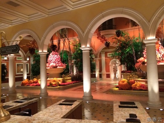 벨라지오 호텔(Bellagio Hotel) 안의 벨라지오 가든의 다채로운 볼거리 - 공연의 도시 라스베가스(Las Vegas)를 무료로 만끽할 수 있는 곳