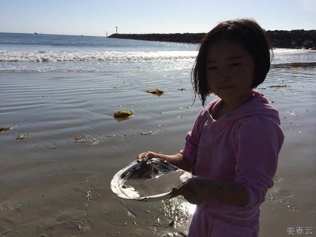 코로나 비치(Corona Beach)에서 바닷바람과 함께 - 바다에서 밀려 오는 해조류, 갈메기, 그리고 모래놀이로 아이들과 여유 만끽