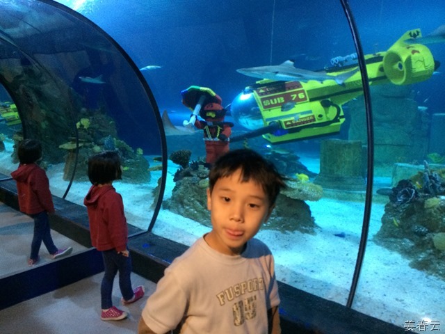 레고랜드(Legoland)에서 운영하는 씨라이프 아쿠아리움(Sea Life Aquarium) - 레고와 바다 생물들이 어울어진 수족관으로 아기자기한 볼거리 제공
