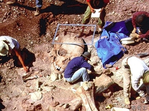 다윗과 골리앗에 나오는 골리앗은 실존하는 거인족 - 그리스에서 발견 된 엄청난 크기의 인간 뼈가 이를 뒷받침 해