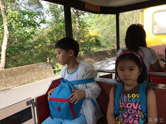 타이페이 동물원(Taipei Zoo) 대 탐방 - 펜더곰, 물소, 돼지, 거북이 등 다양한 동물을 직접 볼 수 있어 – 대만 여행 한번 가볼까나?