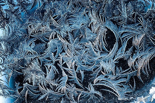 어느 나라의 겨울 풍경 - 자연이 만든 아름다운 예술 작품