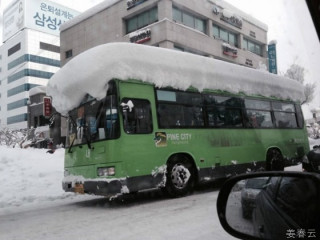 2014년 2월을 강타한 강원도의 흔한 초밥