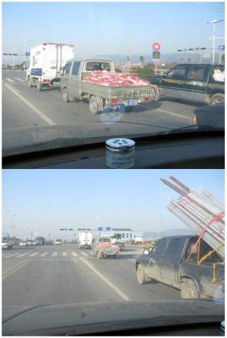 대륙의 신선한 고기 배달