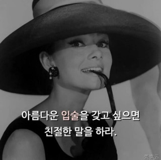오드리 햅번이 남긴 아름다운 명언