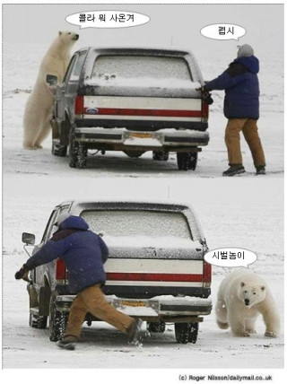 센스있는 북극곰 시리즈