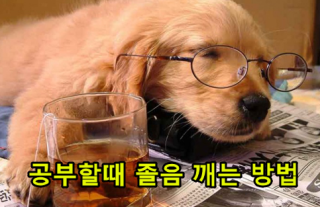 공부할때 졸음 깨는 방법