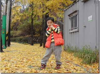 오란 낙엽이 떨어지는 2011년의 가을