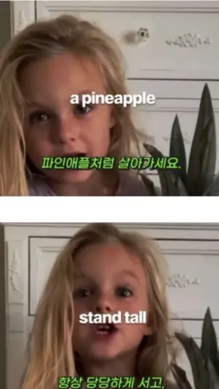 파인애플처럼 살아가세요