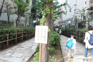 건물과 건물 사이에 위치한 신주쿠 도심 산책로 - 서울같은 빡빡한 도심에 시도해볼만한 좋은 아이템