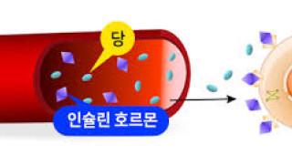 사탕, 초콜렛을 많이 먹으면 당뇨병에 걸린다?