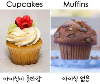 알쏠달쏭한 영어