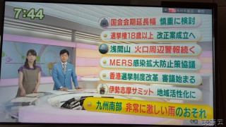MERS 발병에 따른 일본의 대응 방안