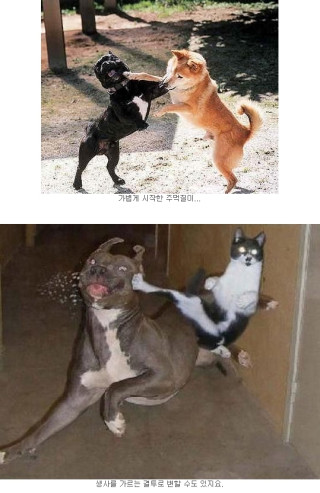 사이좋게 지냅시다