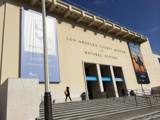 LA 자연사 박물관(Los Angeles County Museum of Natural History)-살아 있는 듯한 동물 박제와 각종 자연석, 공룡화석 및 체험학습을 효과적으로 할수 있었던 체험학습 장소