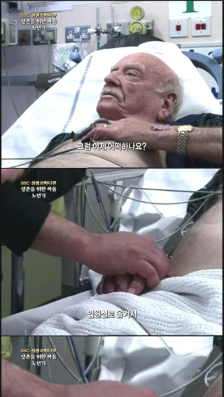 죽음을 받아들이는 자세