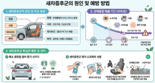 새차증후군의 원인 및 예방 방법