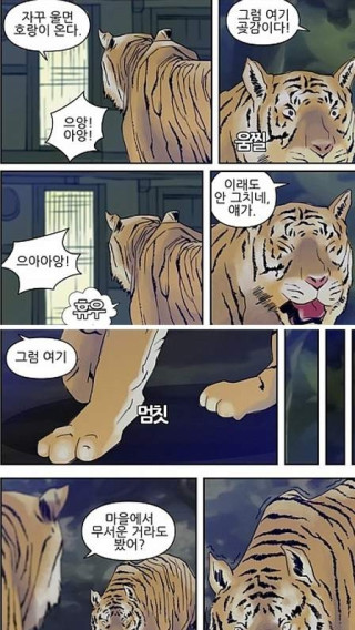 호랑이의 천적
