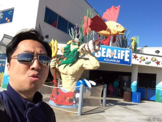 레고랜드(Legoland)에서 운영하는 씨라이프 아쿠아리움(Sea Life Aquarium) - 레고와 바다 생물들이 어울어진 수족관으로 아기자기한 볼거리 제공