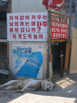 해성마트 명언