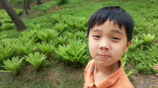 가족 나들이로 떠난 안면도 태안 자연휴양림 여행 - 삼림욕이 무엇인지 제대로 맛볼 수 있는 싱그러운 곳