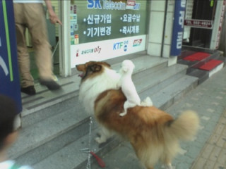 커플요금제