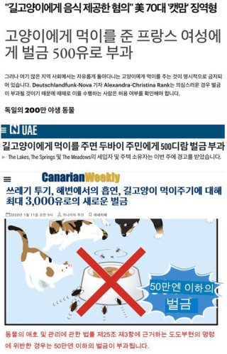 두바이에서는 길고양이 먹이주면 벌금 부과해 우리나라에도 곧 도입될 확률이 높아
