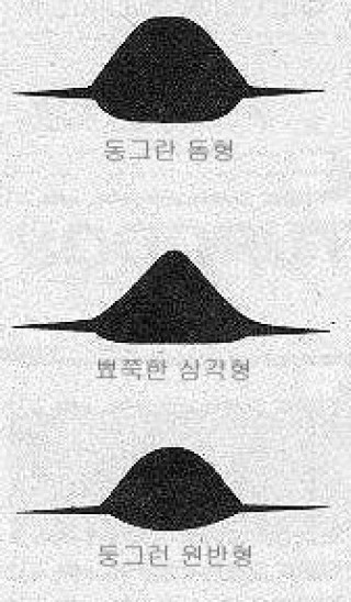 많은 사람들 앞에 나타난 남미의 UFO들 모음