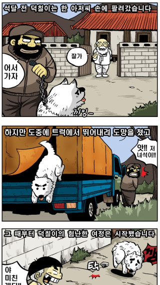 한국의 명견 진돗개