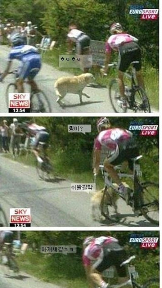 저 개*끼의 유연한 표정