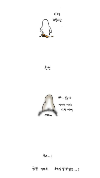 귤고기