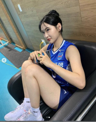 배구 세터 이진