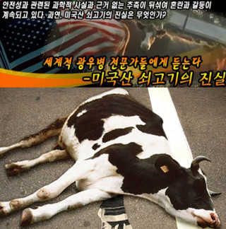 알츠하이머와 치매 관련자료를 통해 보는 광우병의 위험성