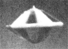유럽에서 계속하여 출몰하는 UFO의 유형공개
