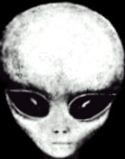현재 전세계에 나타나고 있는 UFO들과 외계인들 모음