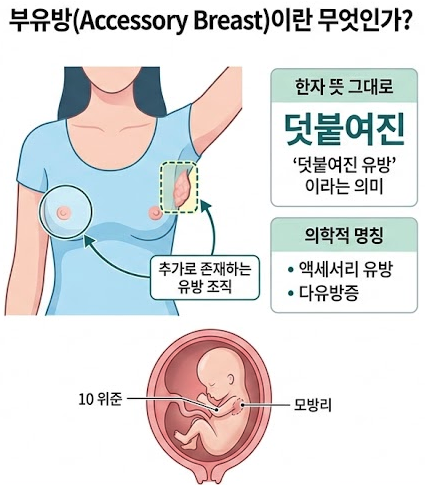 '그날'만 되면 겨드랑이가 아픈 이유