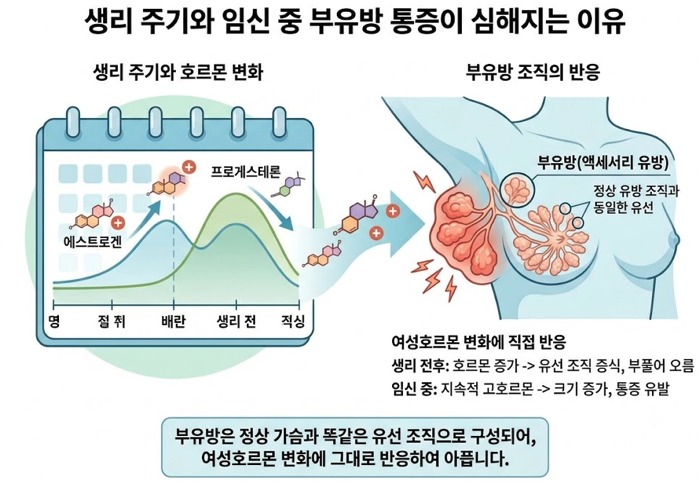 '그날'만 되면 겨드랑이가 아픈 이유