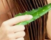 괴로운 비듬과 가려움증, 집에서 간편하게 다스리는 5가지 천연 요법