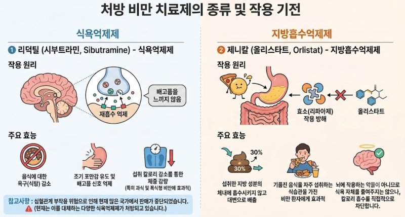 식욕억제제와 지방흡수억제제 종류 및 효능, 올바른 비만 치료제 복용법