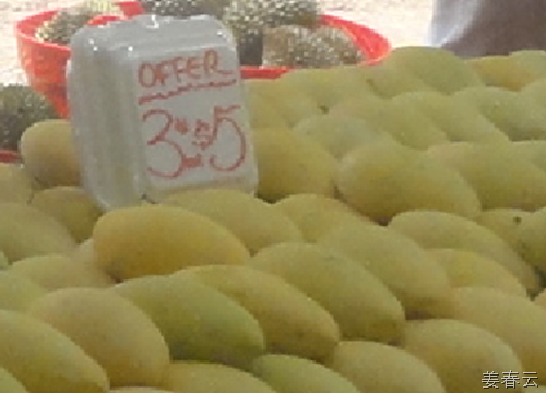 길거리에 널리고 널린 망고 &ndash; 싱가폴 외곽 지역일수록 과일 가격은 저렴해 집니다 &ndash; 열대 과일의 제왕인 두리안은 남자들에게 좋아