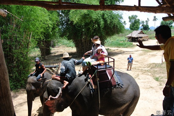 태국 여행의 백미 &ndash; 코끼리 타고 탐험하기